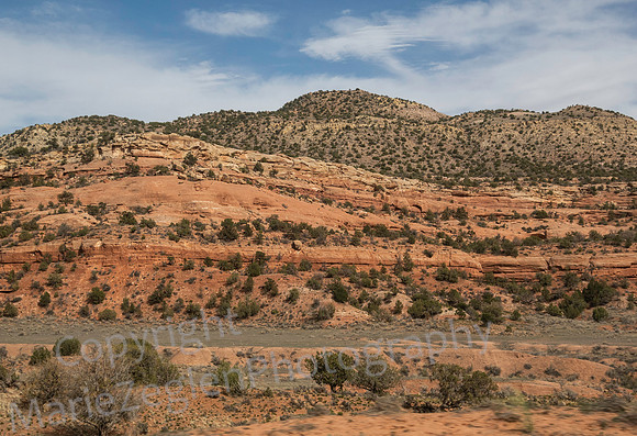 Bluff, Utah 0662
